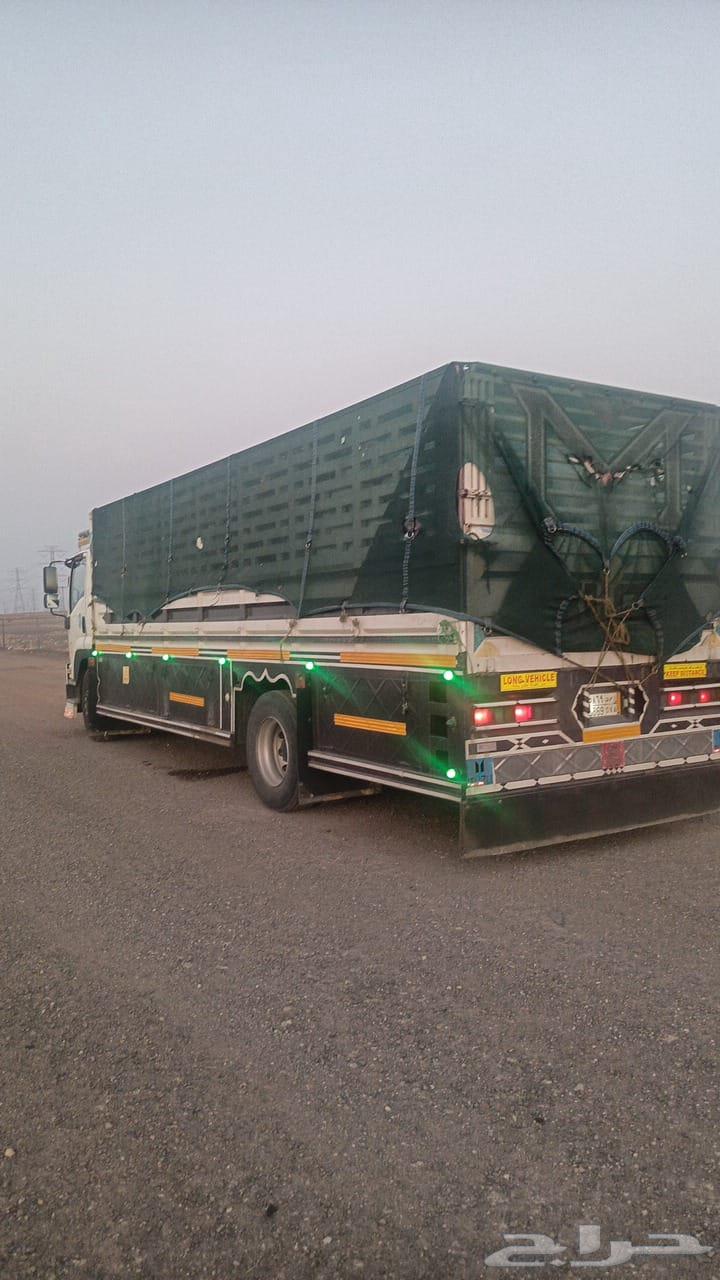 نقليات داخل وخارج المملكة64179049201538111