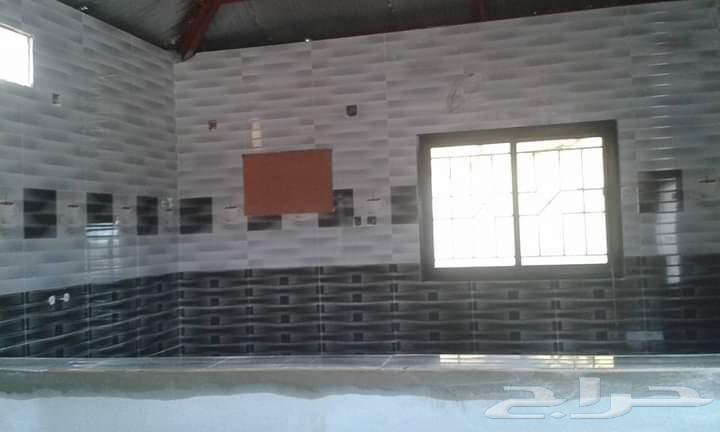 معلم بلاط مصري64179050771585110