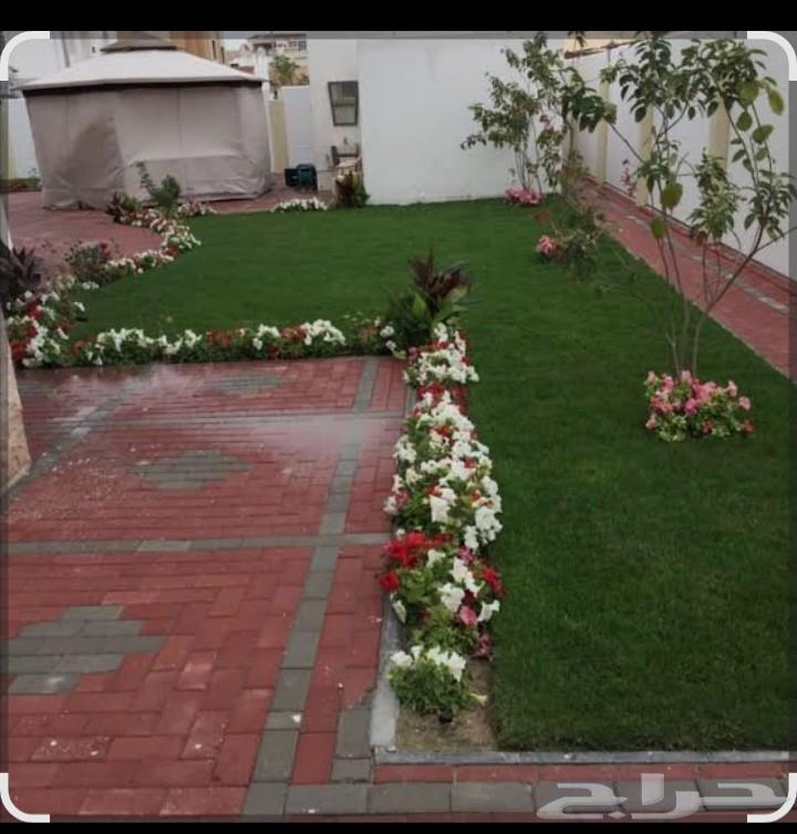 تنسيق حدائق وبيع الأشجار64179050988417111