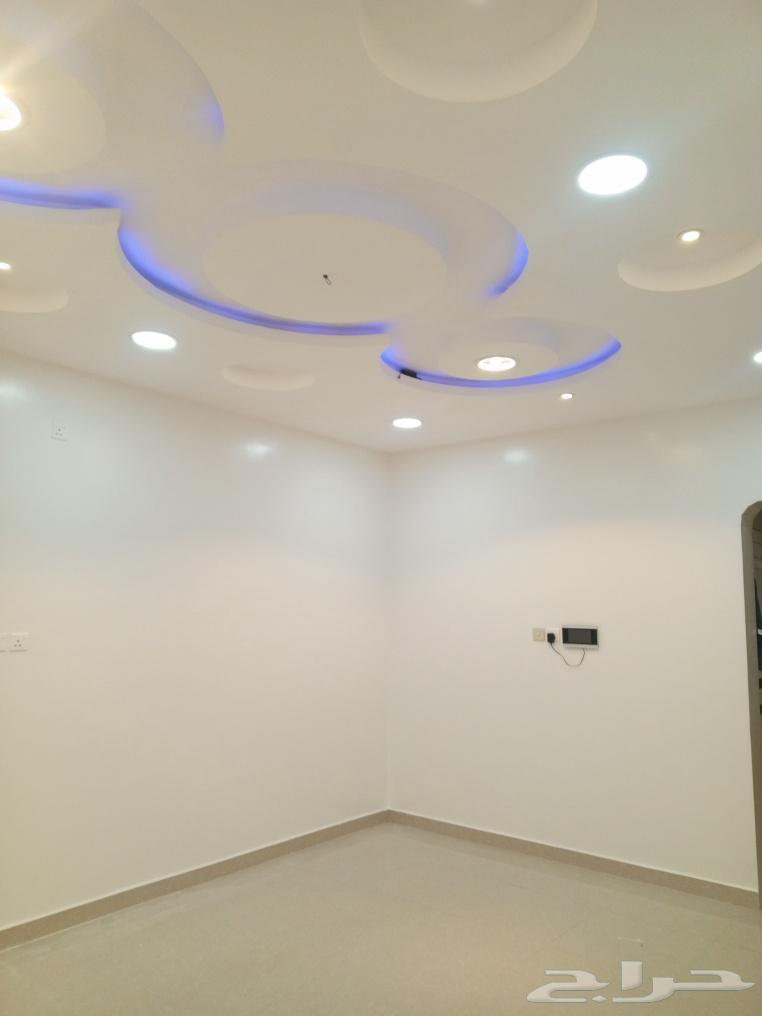 صباغ الأحساء64179642696194110