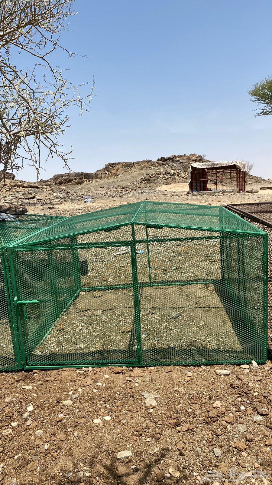 Clean 2x2 mesh never used64551104840321111