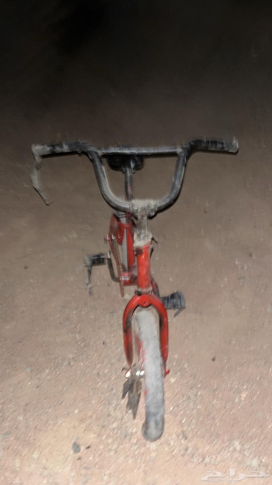 Sikl64429116395521111