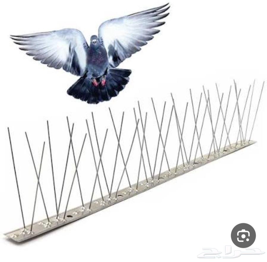 Pigeon control company and pigeon repellent installation and pest control in Mecca64205593456257110