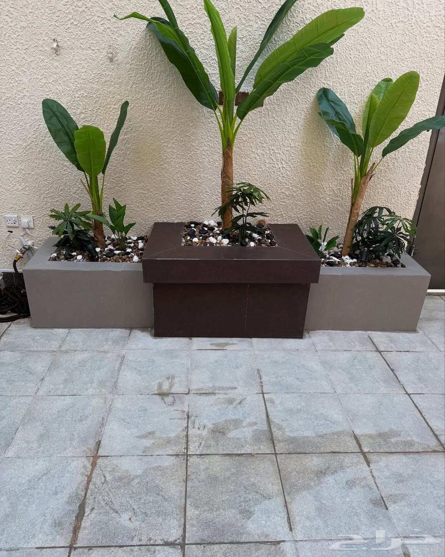 تنسيق حدايق القصيم تصميم أحواض زراعة غرف زجاجيه شلالات64584560614531113