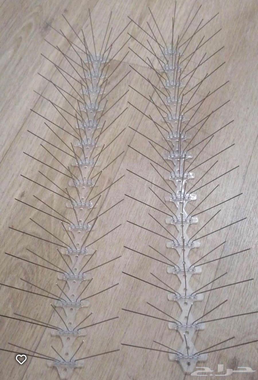 Pigeon control company and pigeon repellent installation and pest control in Mecca64205593456257112