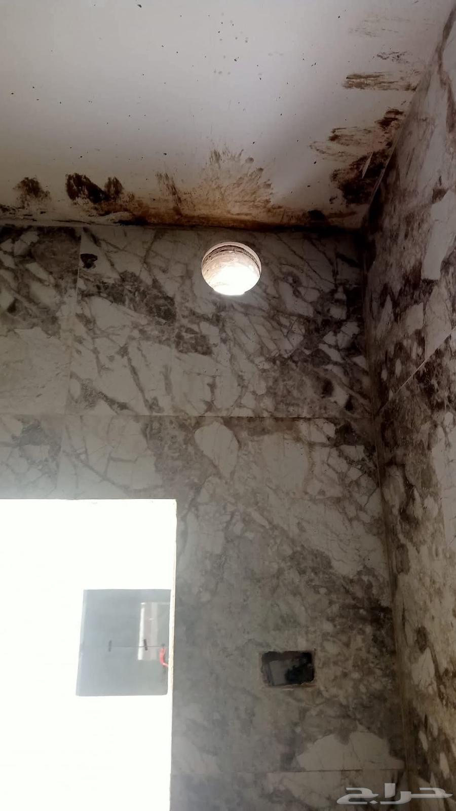 Core drilling and concrete cutting64181317998978112