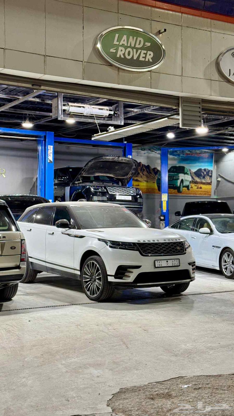 شركة الاوتاد الرافدة الدولية لصيانة رنج64180898307459110