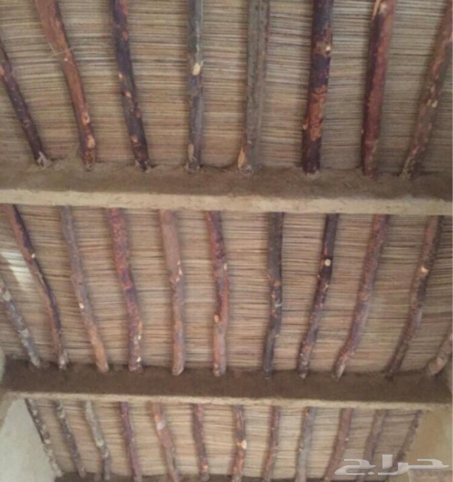 Heritage Works in Clay, Stone, and Shabuk64180897036162111