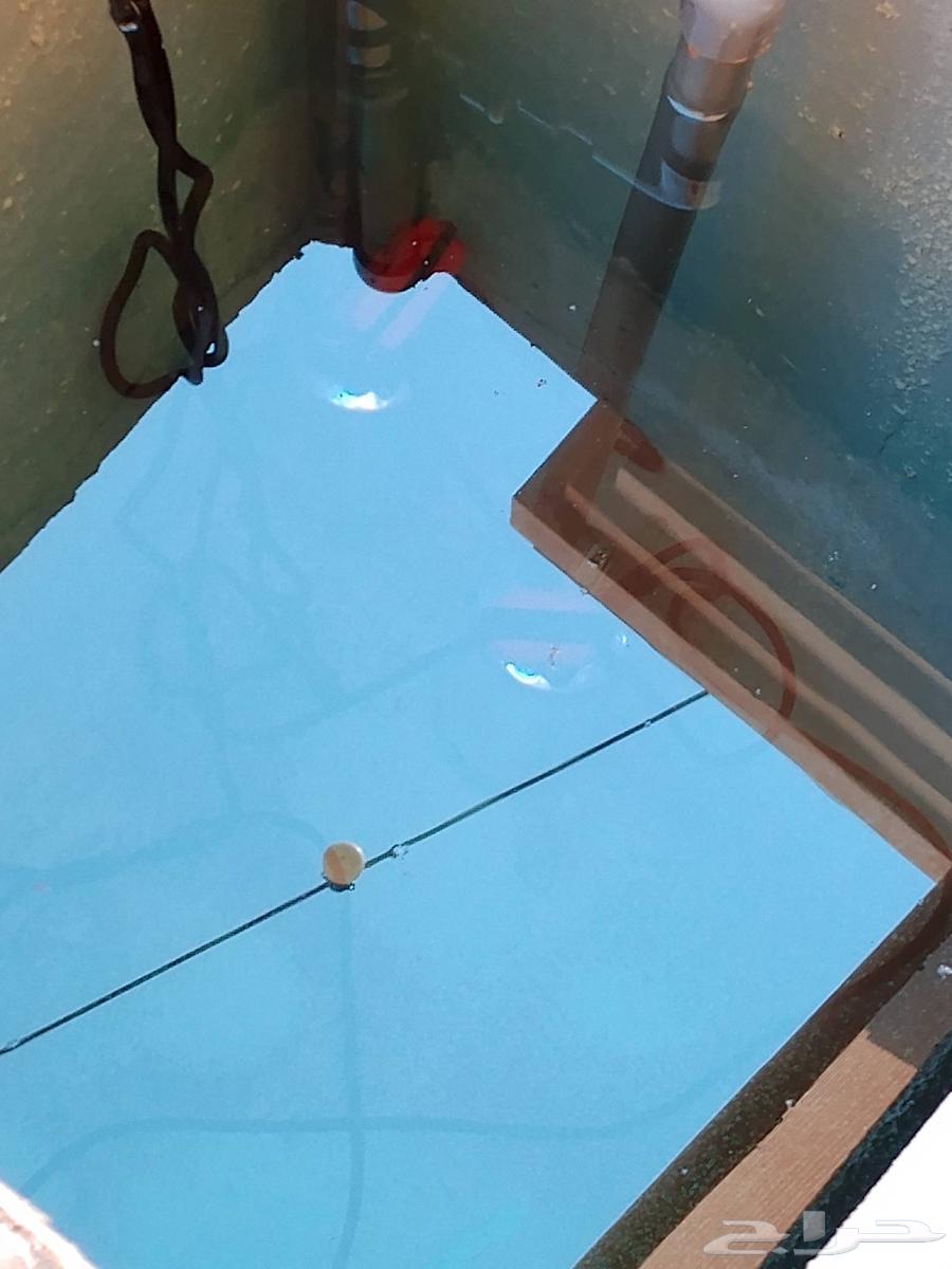 سباكه وصيامه شامله64181319515779111