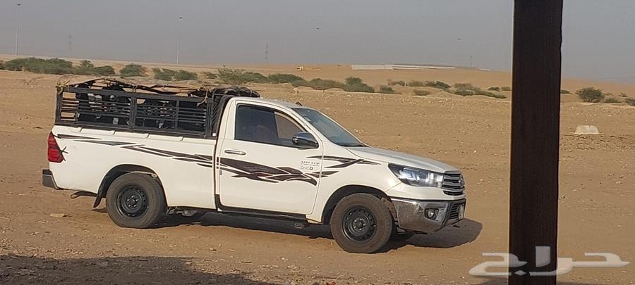 Sheep delivery64493809293825111