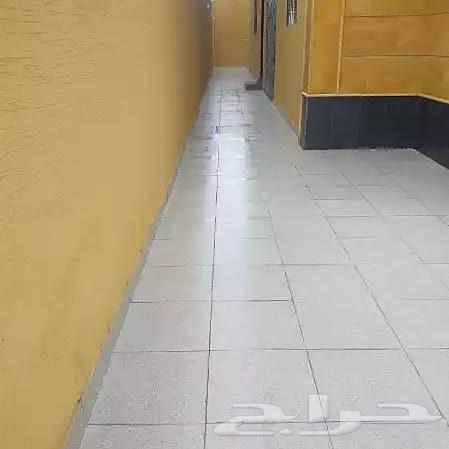 جلئ بلاط تلميع روحام64180496579458111