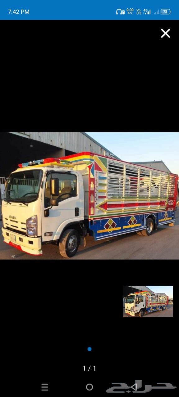 نقل عفش فك تركيب64180707868417110