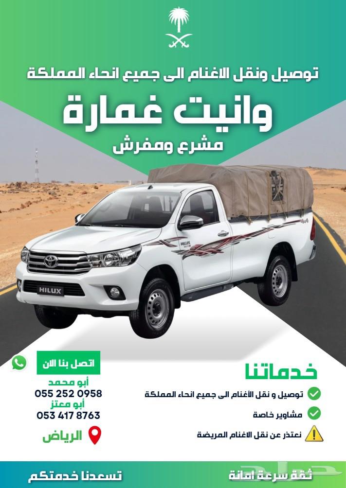 Sheep delivery64493809293825110