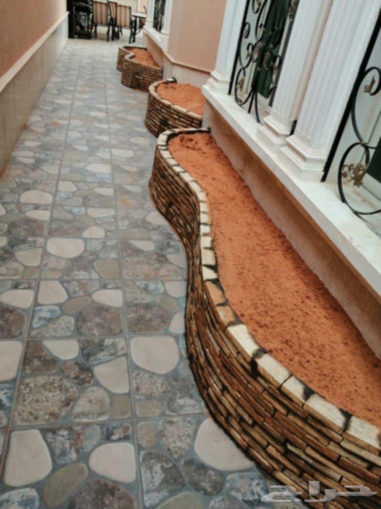 قلع وغرس النخيل64180045949569114