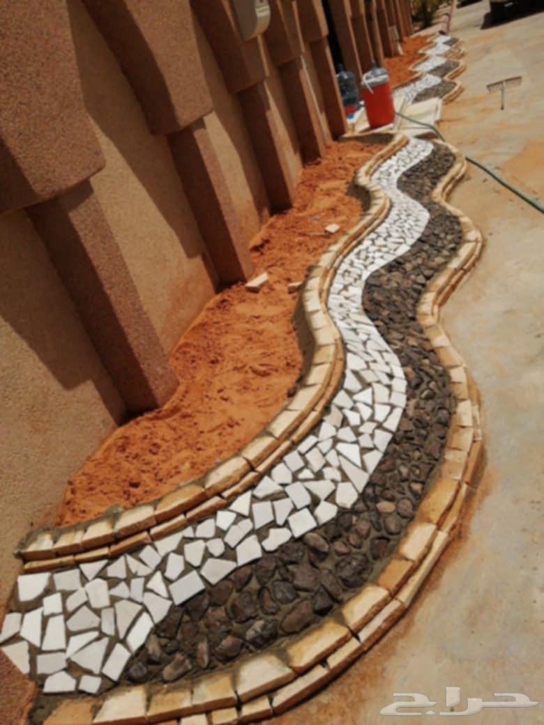 قلع وغرس النخيل64180045949569113