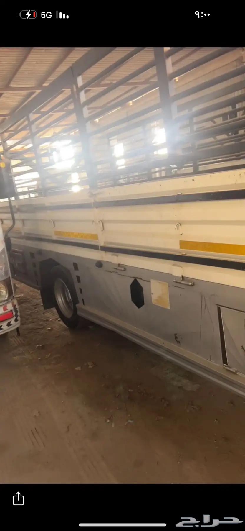 المدينه المنوره64183255934595110