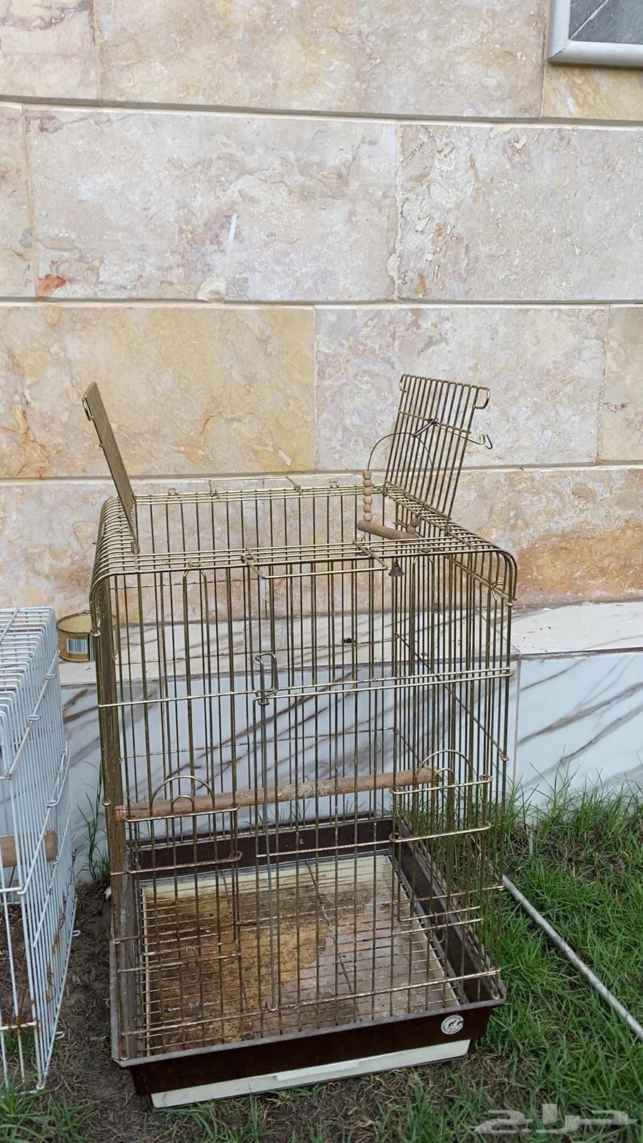 قفص للبيع64592999152129111