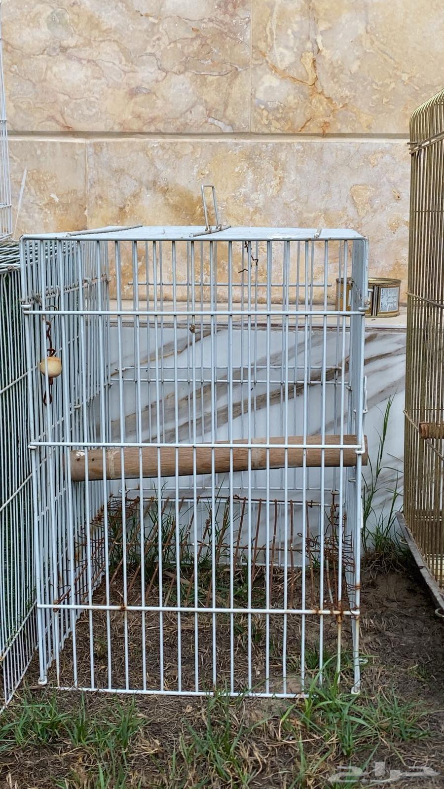 قفص للبيع64592999152129114