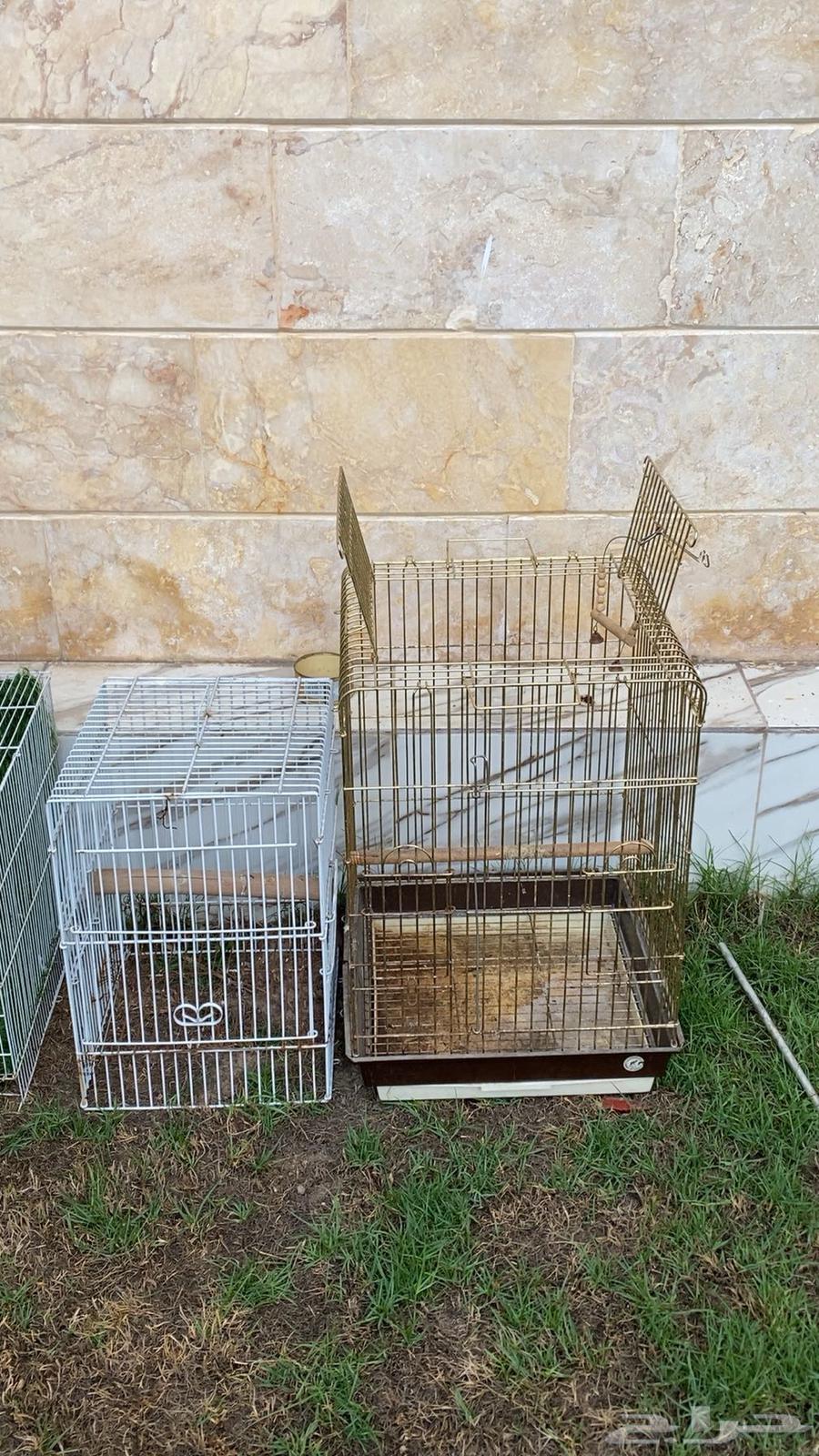 قفص للبيع64592999152129113