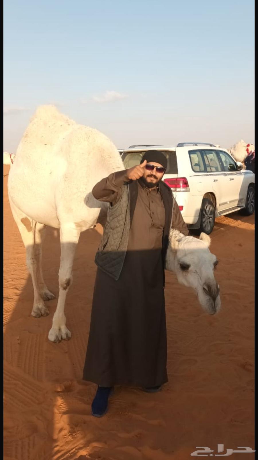 خيام ملكي وبيوت شعر64182283542914110