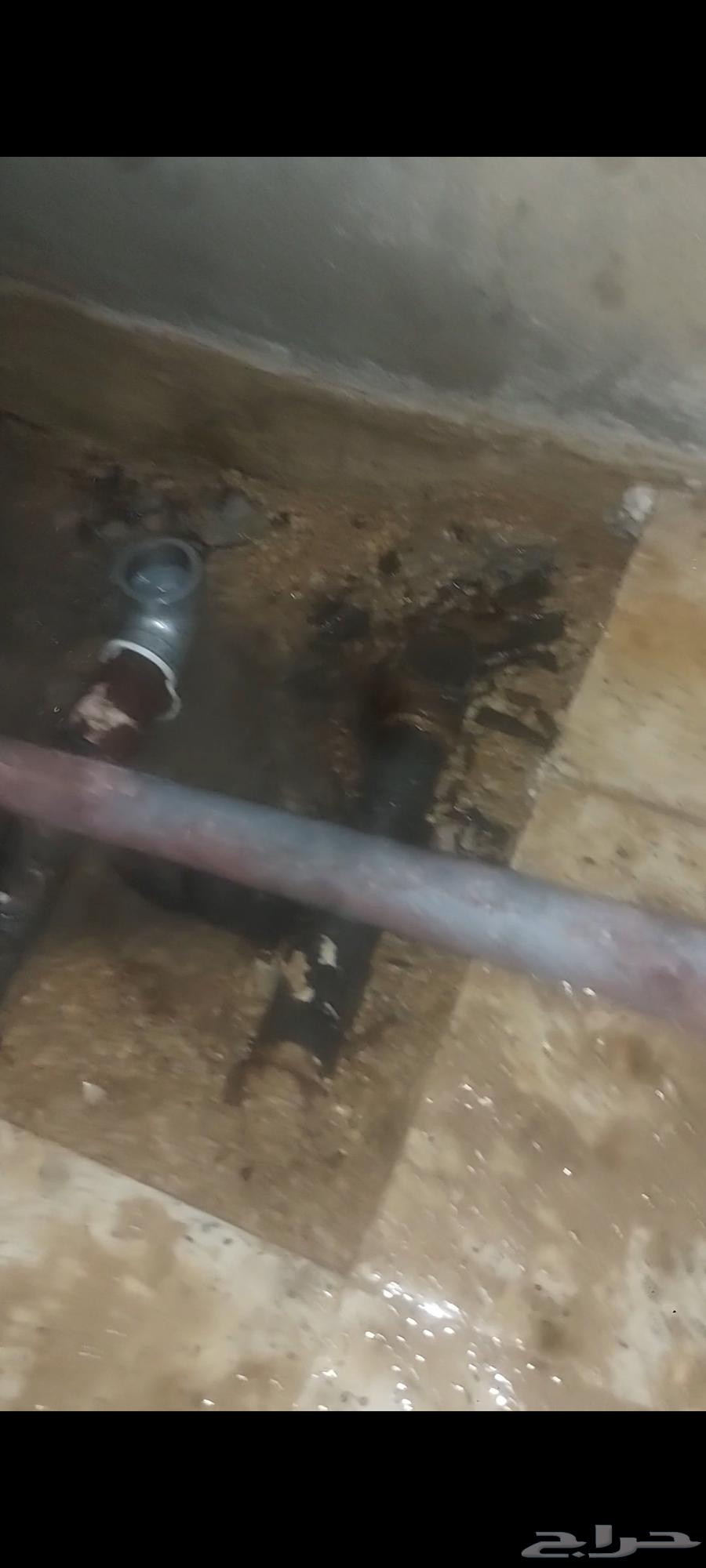 Water Leak Detection and Insulation Company64182043360513114