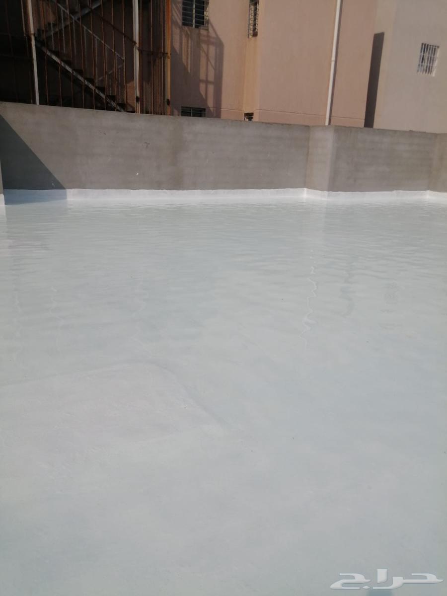 عوزال الطايف64182530561667113