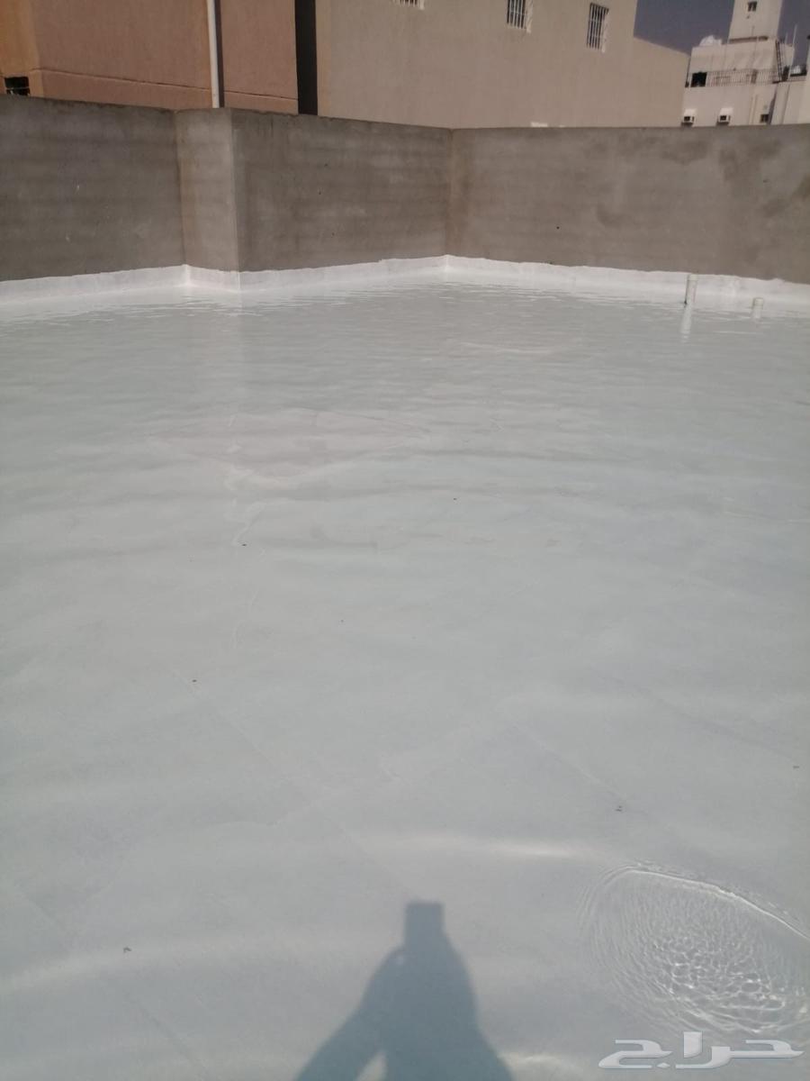 عوزال الطايف64182530561667114