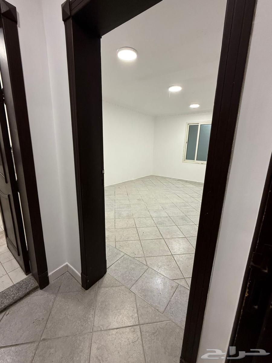 شقة للإيجار