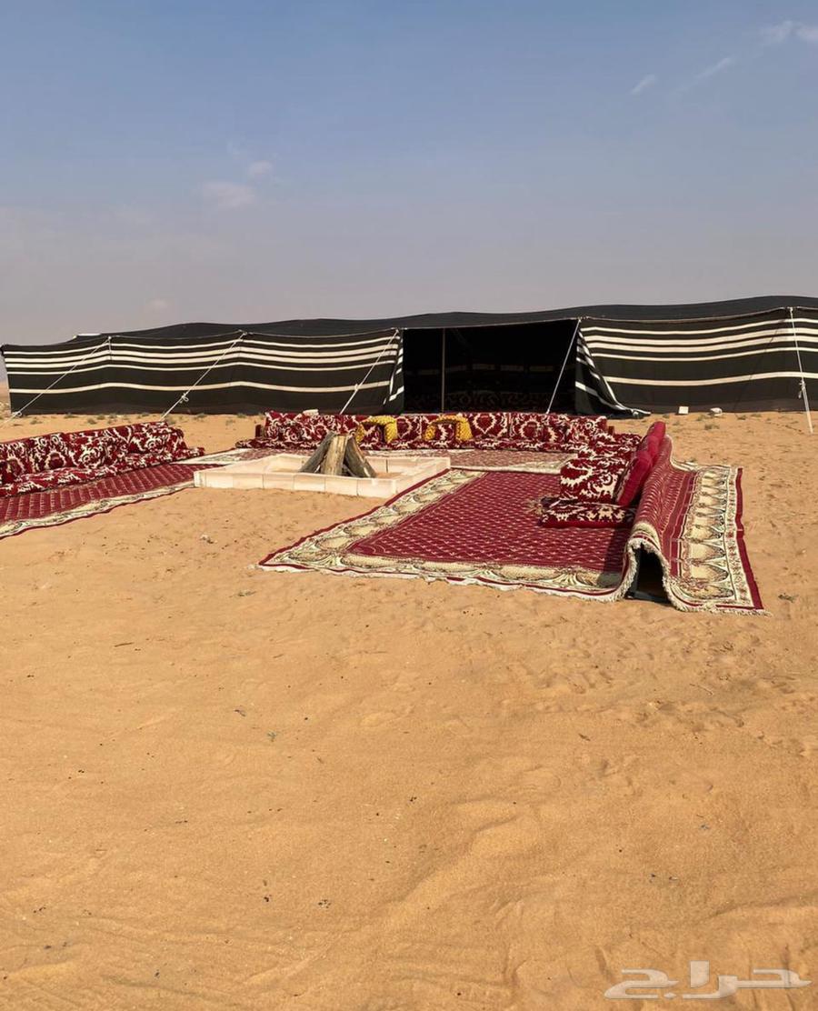 خيام ملكي وبيوت شعر64182283542914111