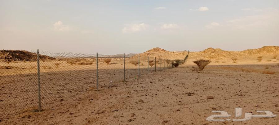 تركيب شبوك مزارع64182780206467114