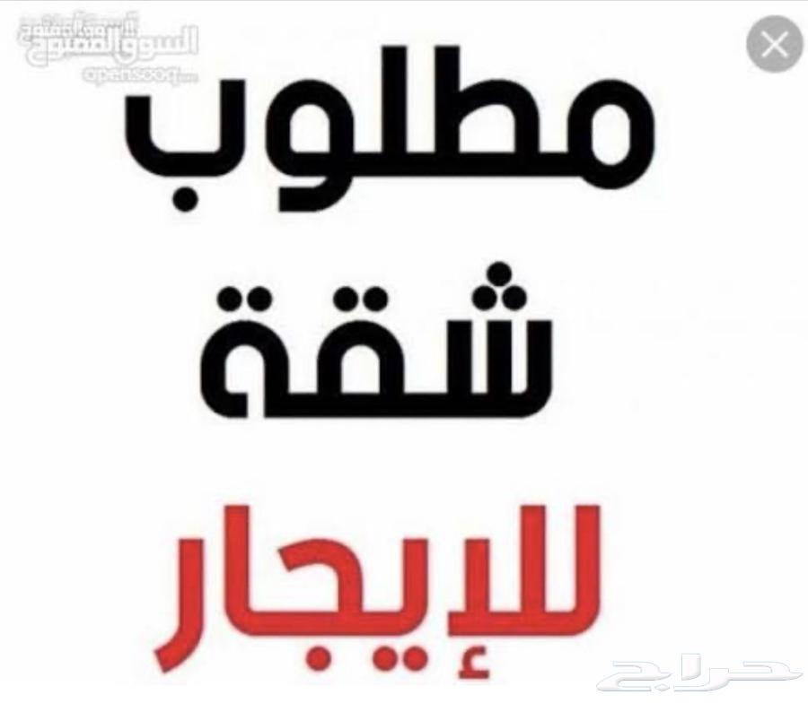 مطلوب شقه ايجار مده طويله ان شاء الله غرفتين بلاط عائله صغي64153990407553110