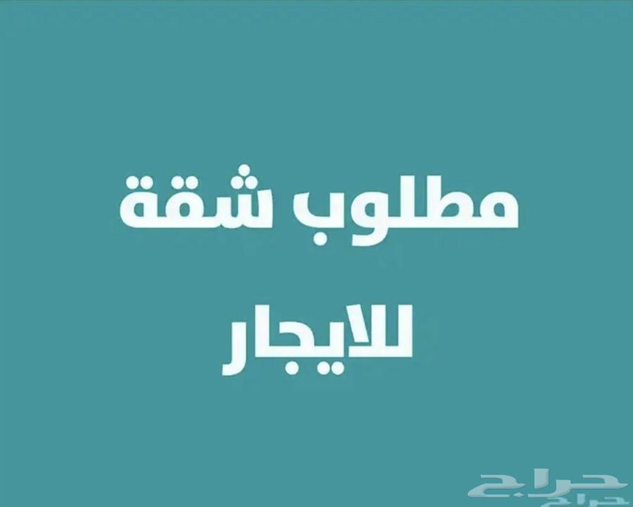 مطلوب شقة 3 غرف عرسان64153733819138110