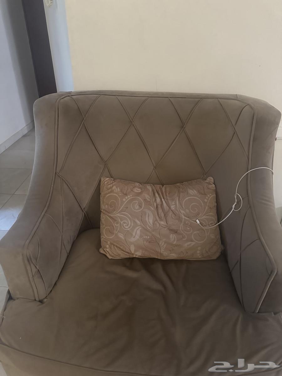 Sofa64550379490050113