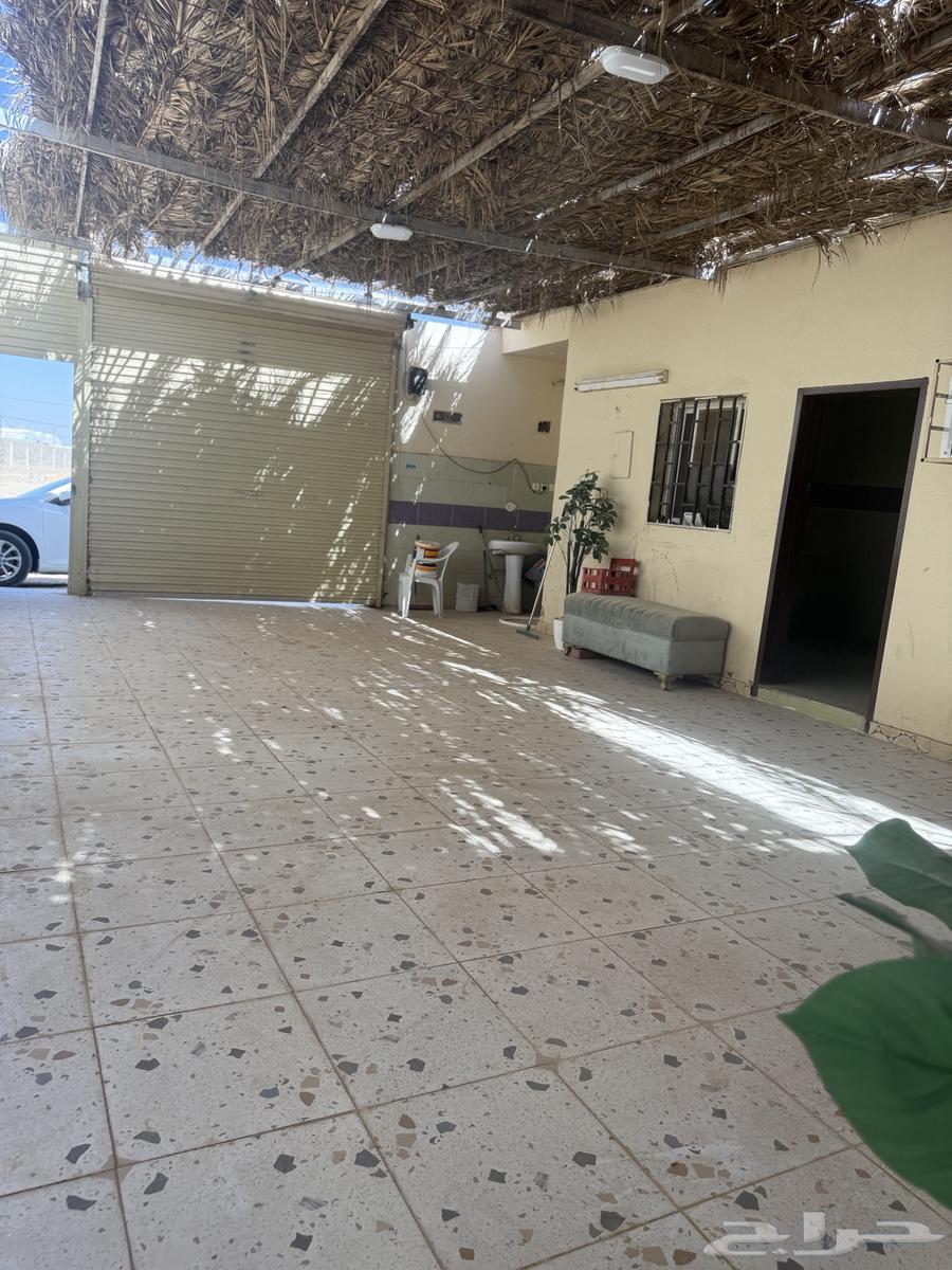 استراحة للإيجار تبوك دمج قريبة من قصر المناخ64153987848577112