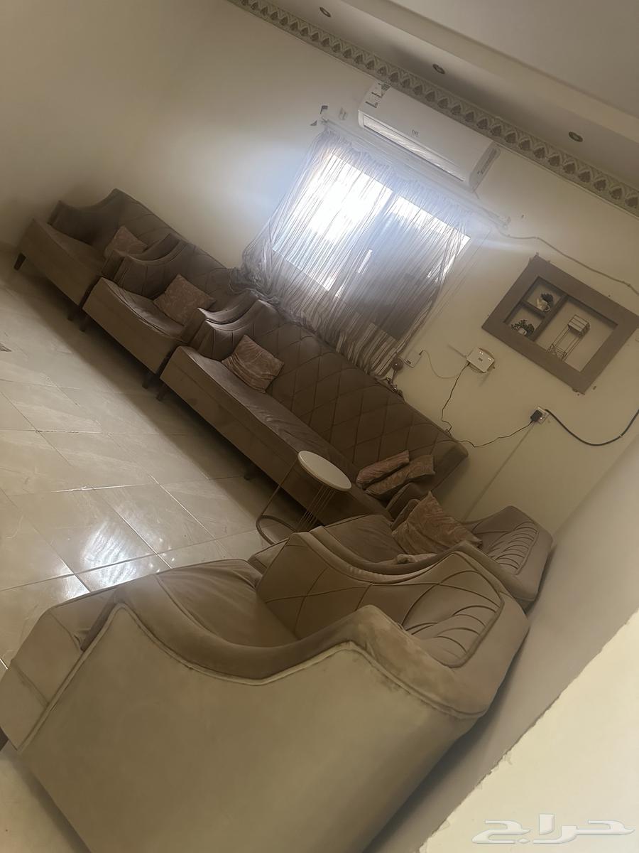 Sofa64550379490050111