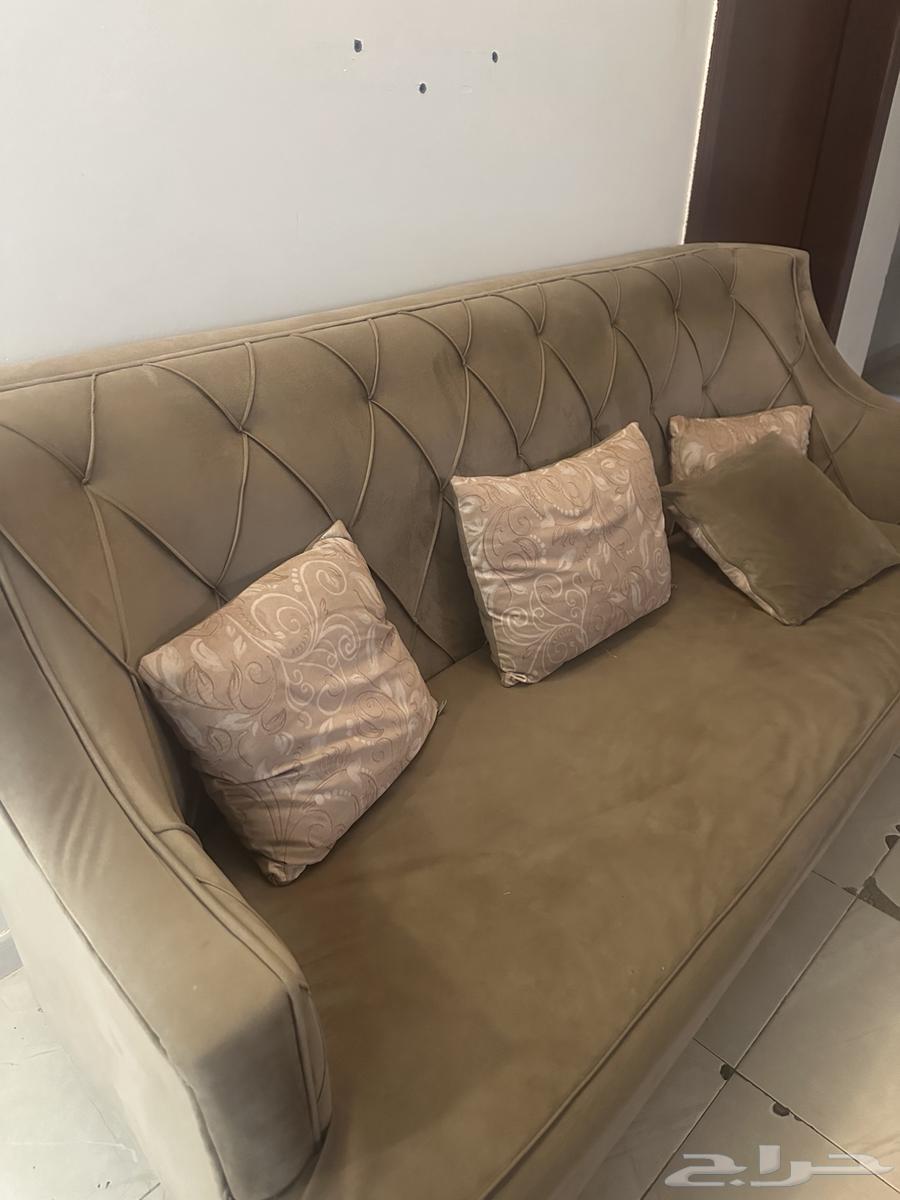 Sofa64550379490050114