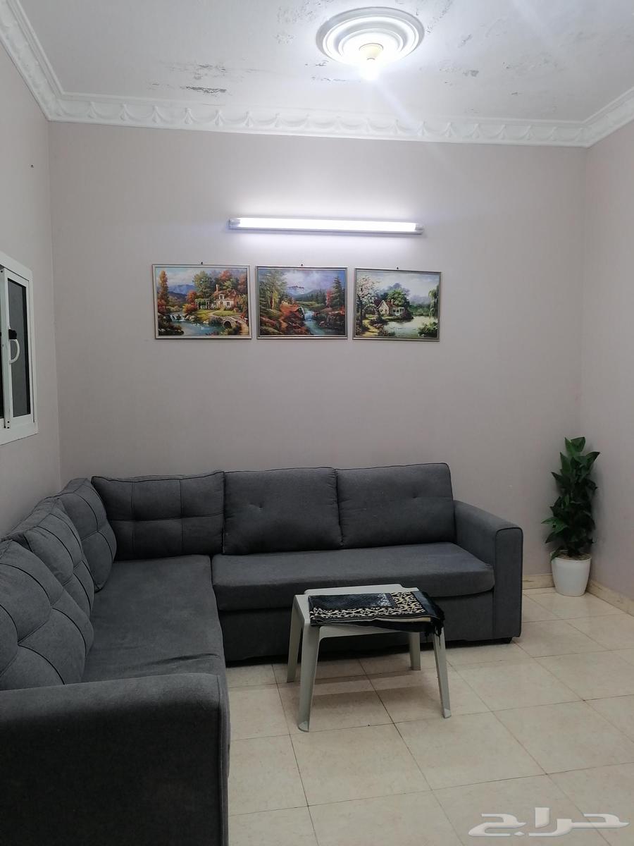 شقة للإيجار
