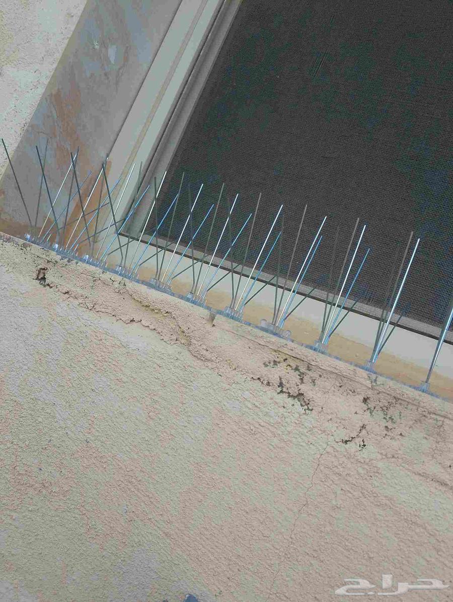 Bird and pigeon repellent64182044892417112