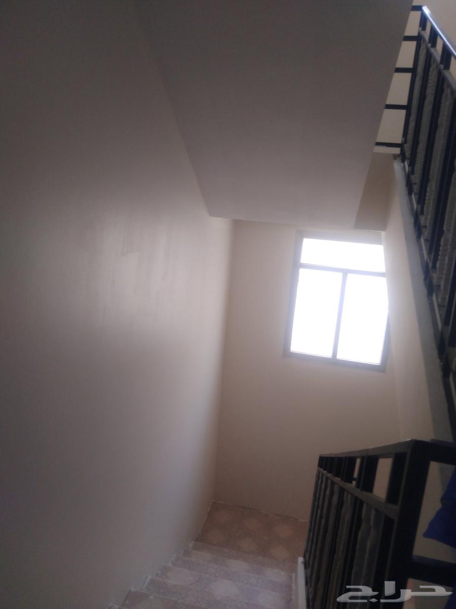 دهان محمد عادل باكستاني64182046478849110