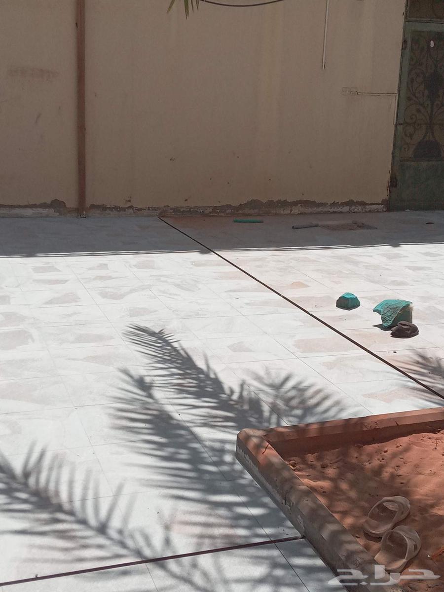 لي جميع المقولات64183252672642114