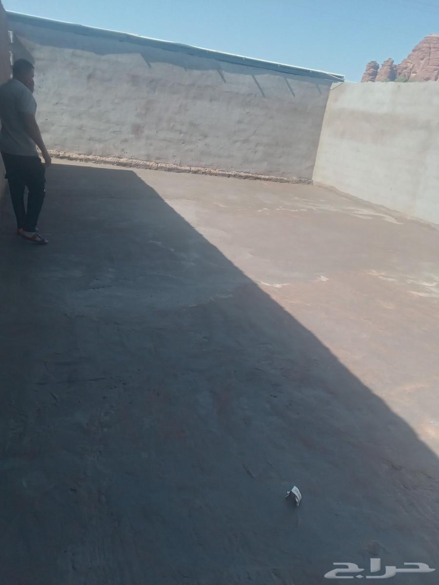 لي جميع المقولات64183252672642112