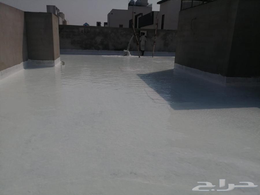 عوزال الطايف64182530561667111