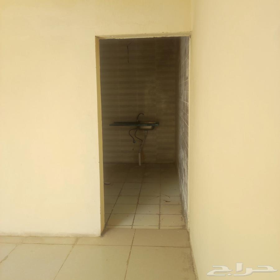 شاليه شباب للاجار64153988923266112