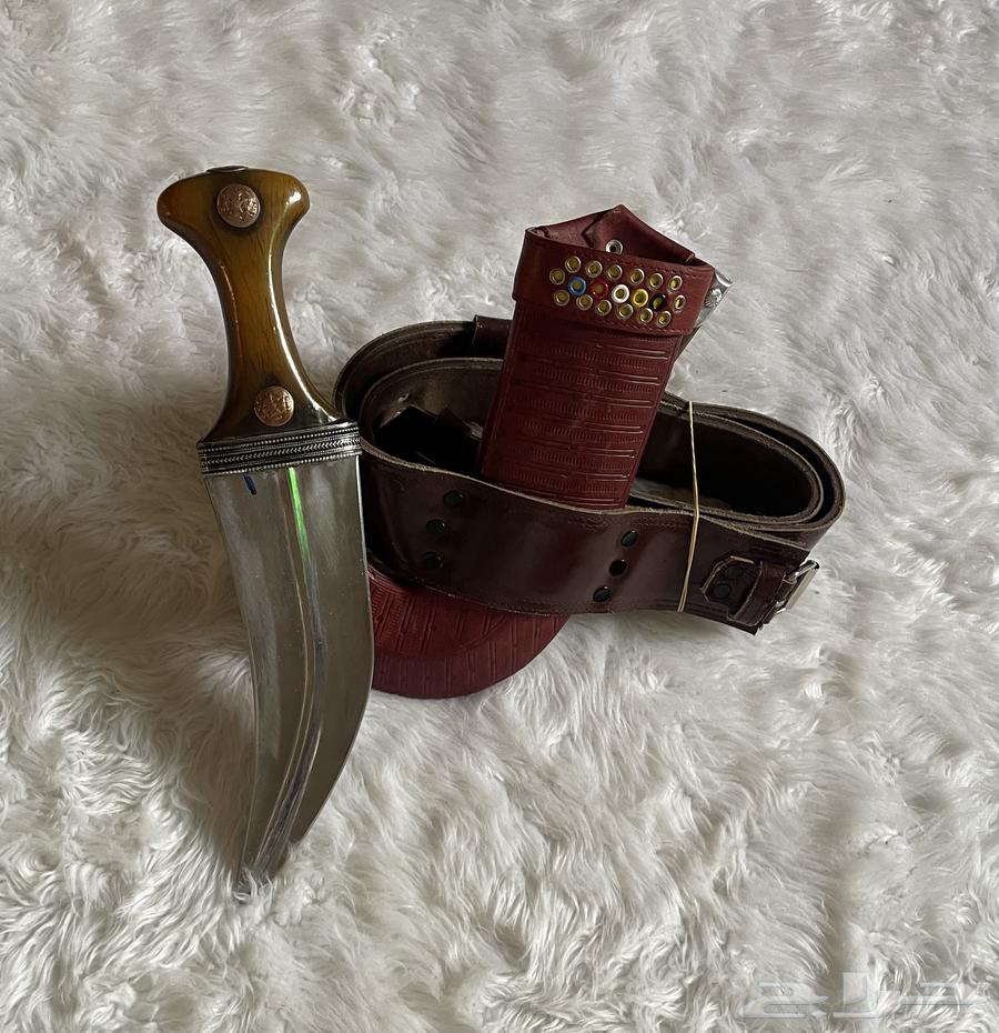 جنبيه مشرقيه شبيه الزراف64626445032578111