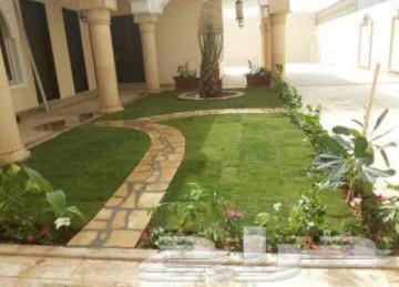 زراعه الاشجار والعشب الطبيعي64182777368066114