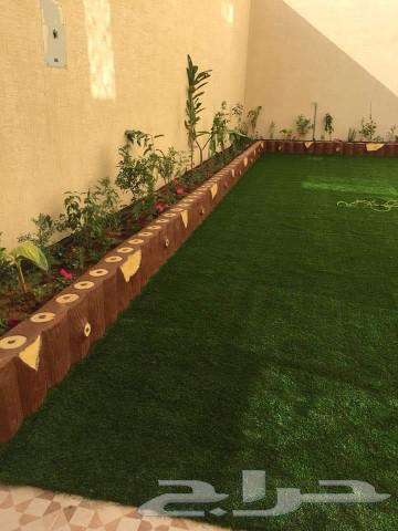 زراعه الاشجار والعشب الطبيعي64182777368066113