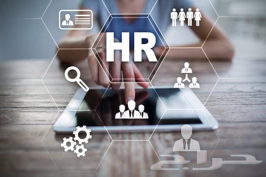 Human Resource Management for Small Institutions and Projects64183009515267112