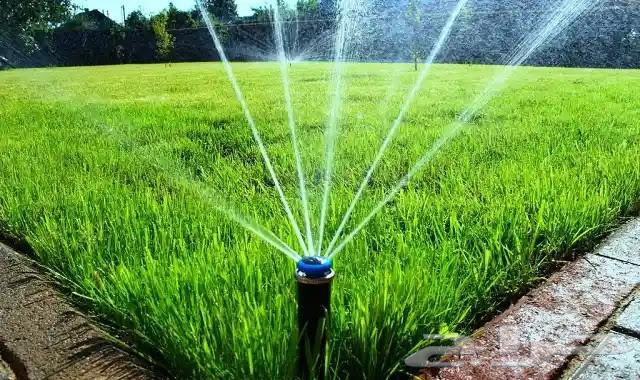 ثيل طبيعي و شبكات الري64182045865475113