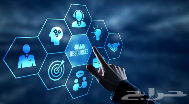 Human Resource Management for Small Institutions and Projects64183009515267111