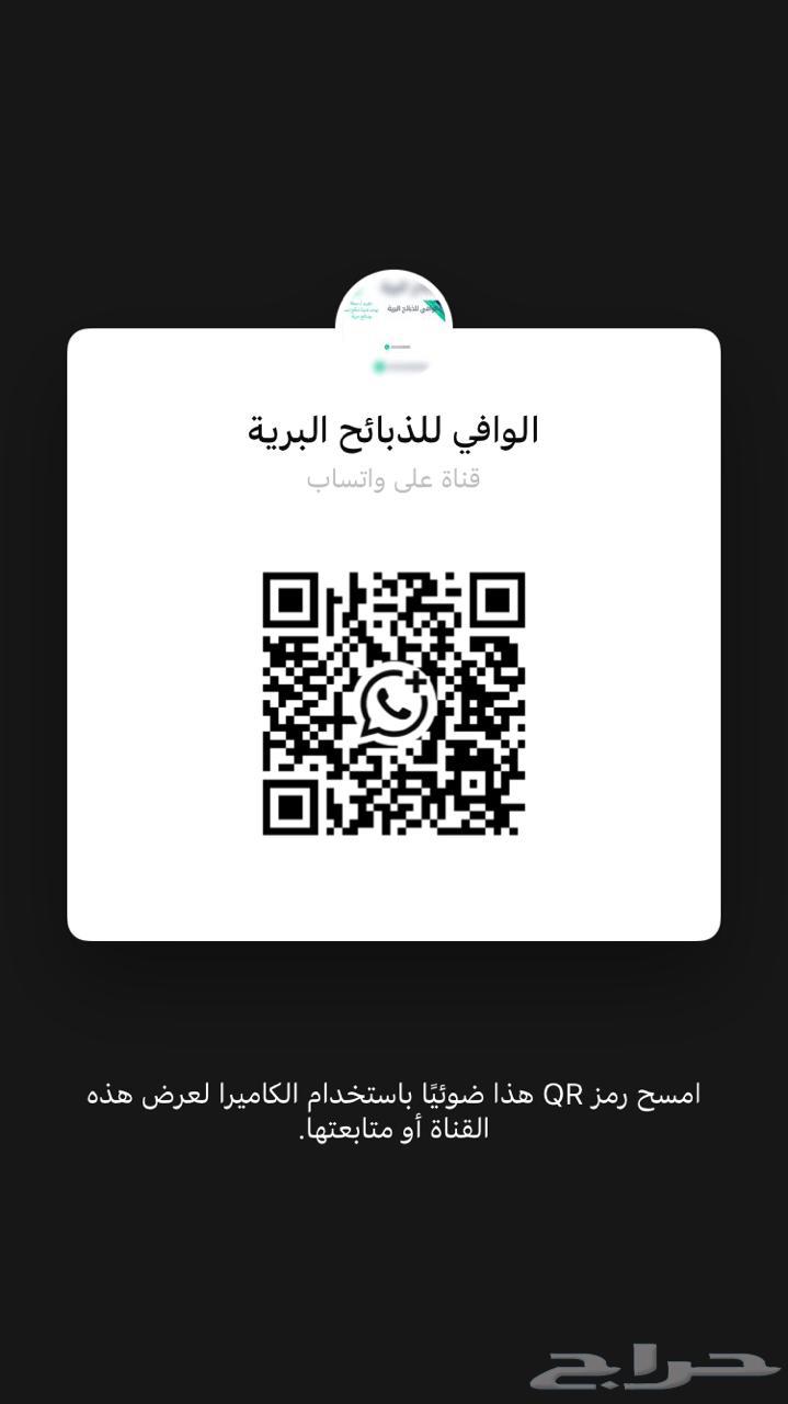 فحل صنف حري صنف طيب64613117045507111